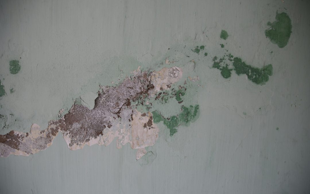 how to cover flaking paint on walls